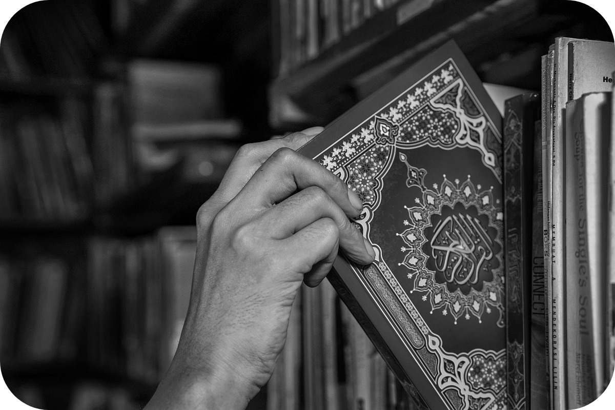 Qurans for Beginners: Top Picks for Adults & Reverts
