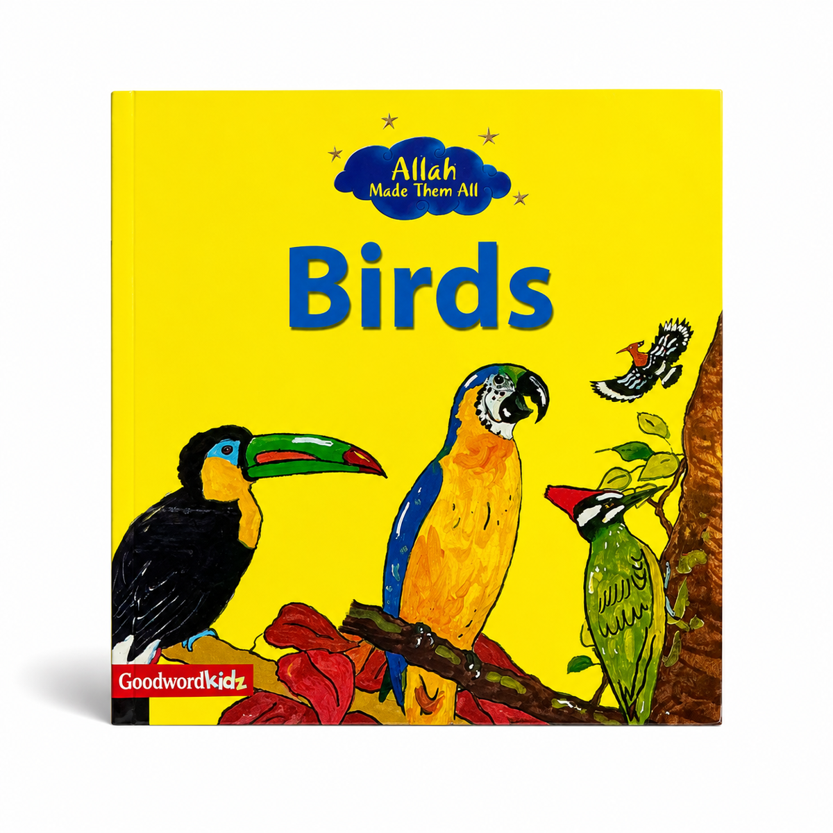 Birds – Allah Made Them All | Colourful Islamic Children’s Book | Goodword